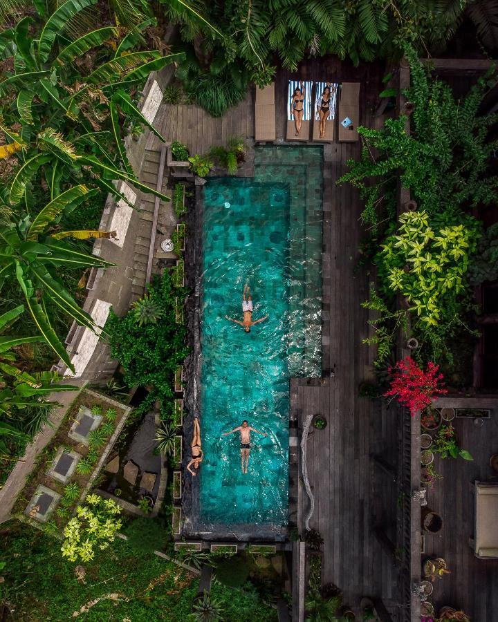 אובוד Dragon House - Your Dream House In Bali! מראה חיצוני תמונה